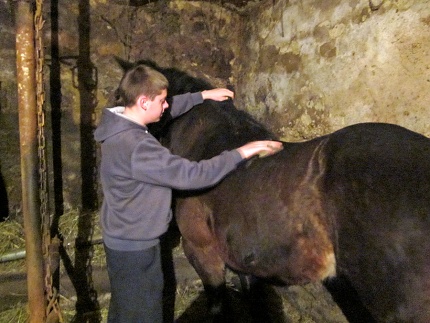 Sin Dubravko nasljedio je ljubav prema konjima od oca